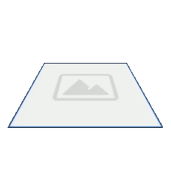 Tilted Zoom example gif